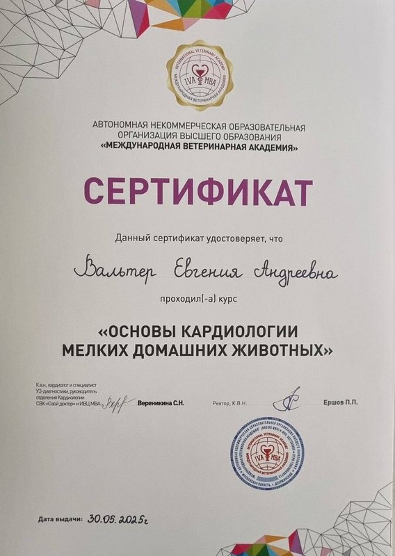 Документ или сертификат