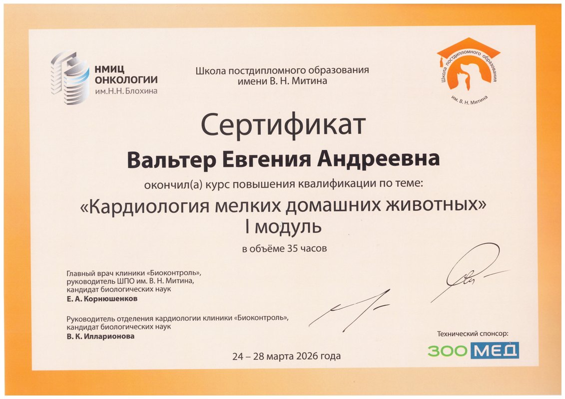 Документ или сертификат