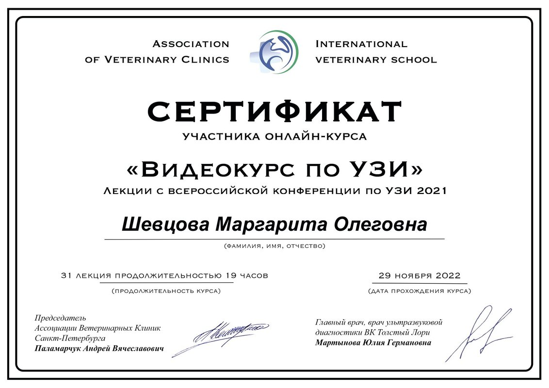 Документ или сертификат