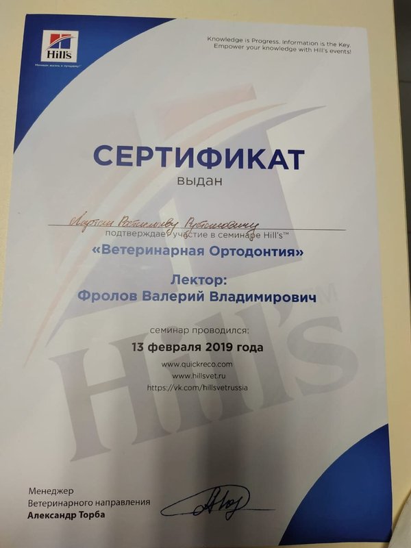 Документ или сертификат