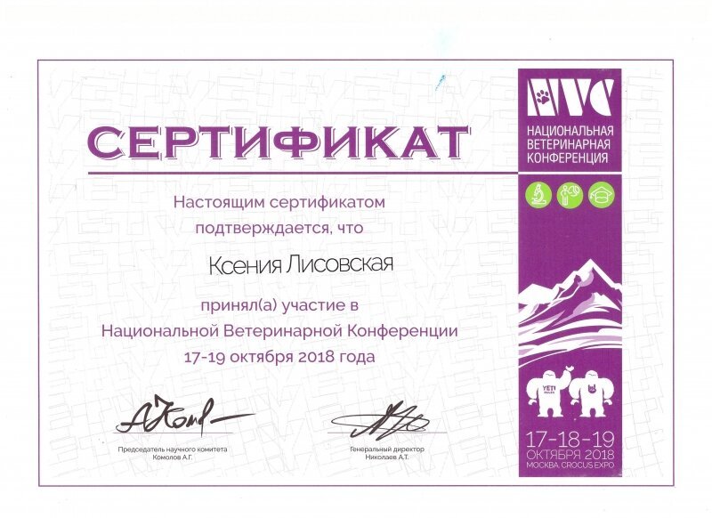 Документ или сертификат