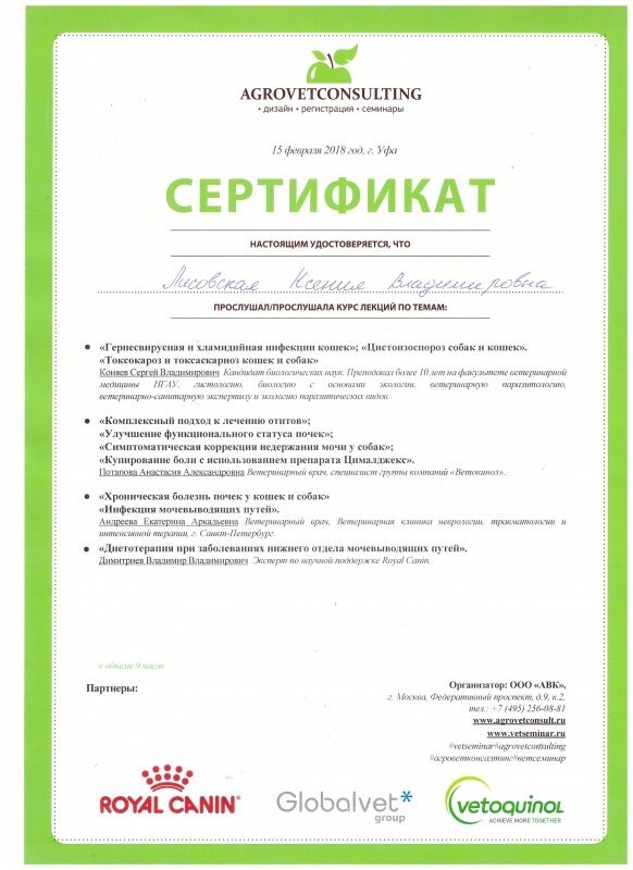 Документ или сертификат
