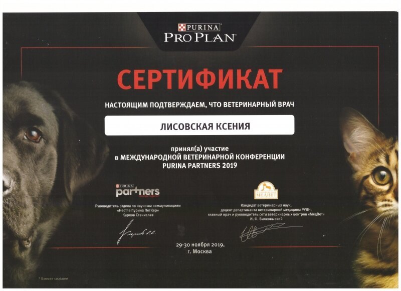 Документ или сертификат