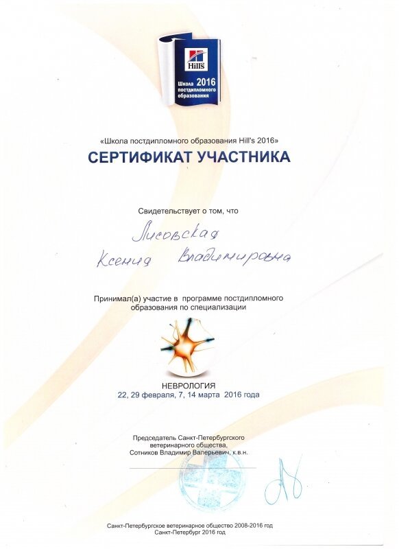 Документ или сертификат