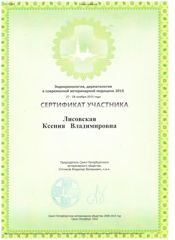 Документ или сертификат