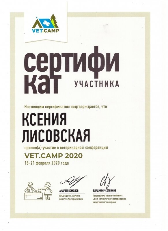 Документ или сертификат
