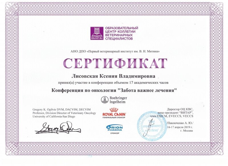 Документ или сертификат