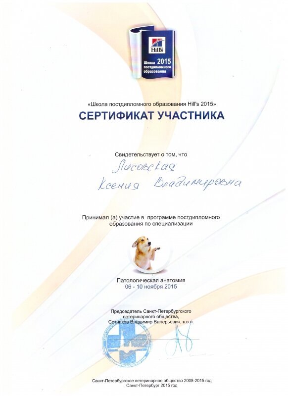 Документ или сертификат