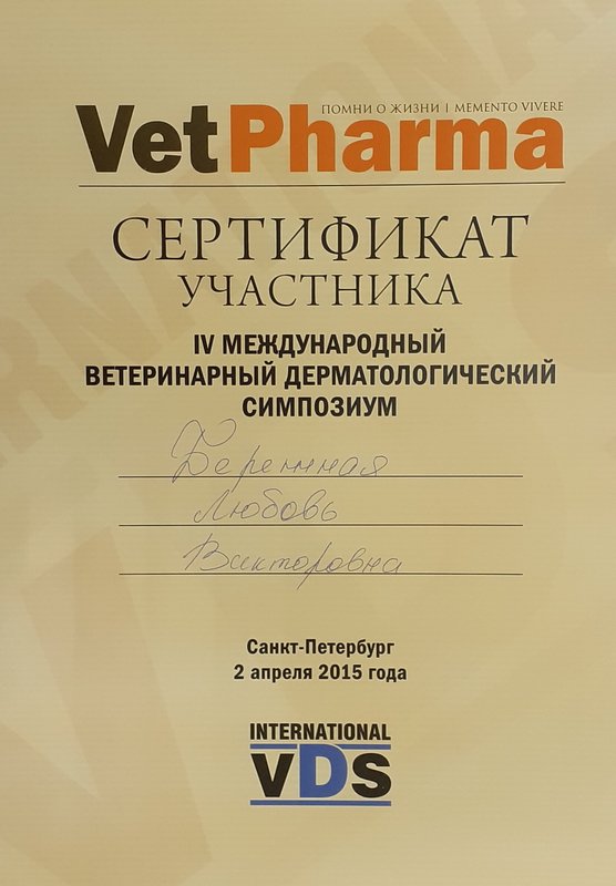 Документ или сертификат