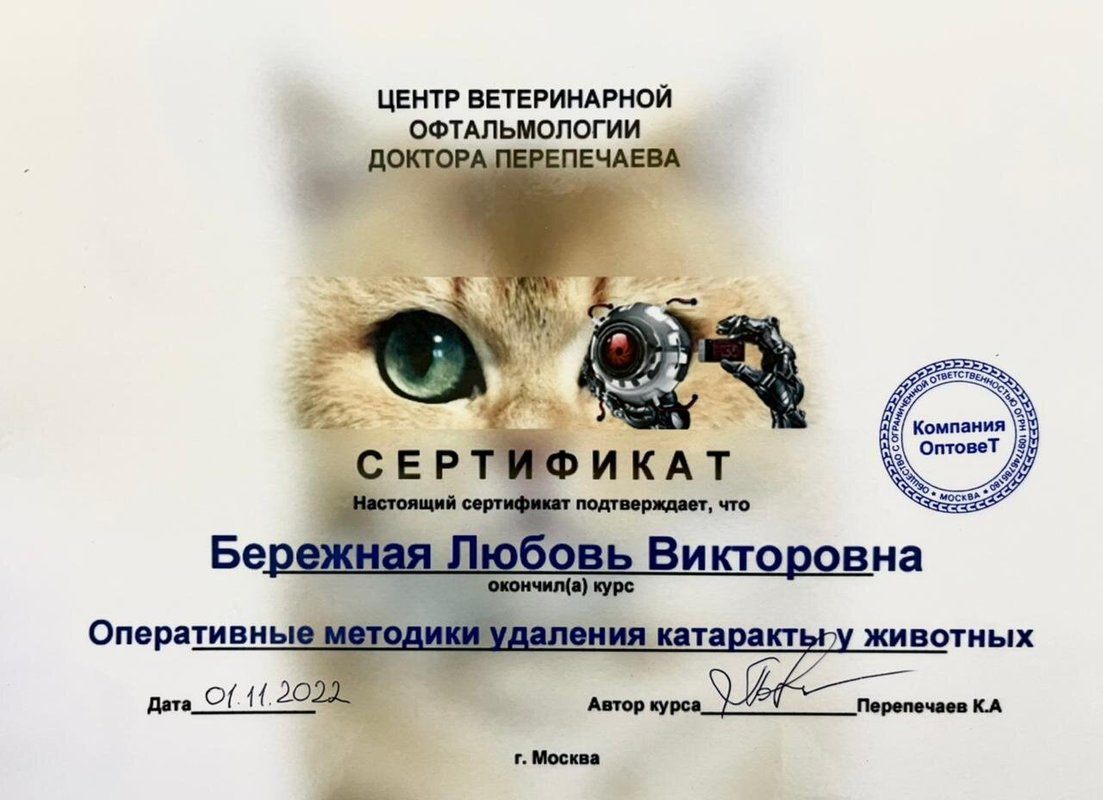 Документ или сертификат
