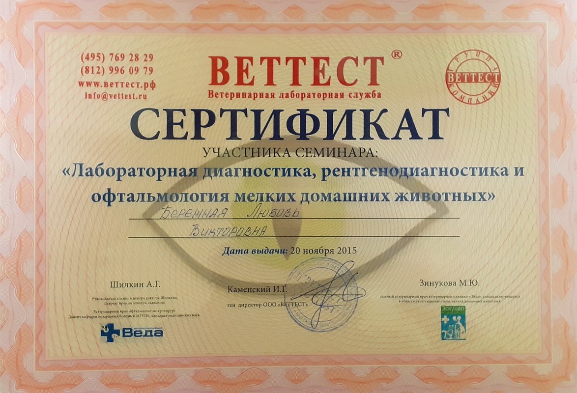 Документ или сертификат