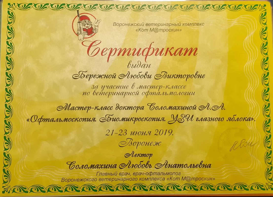 Документ или сертификат