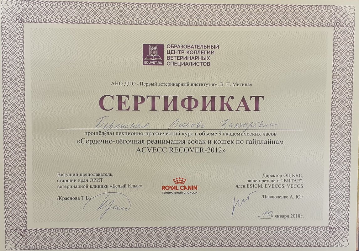 Документ или сертификат