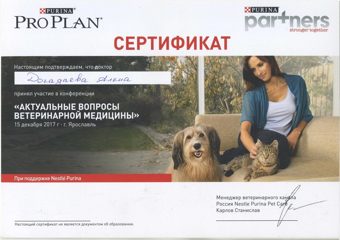 Документ или сертификат
