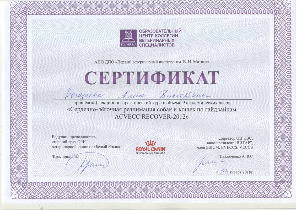 Документ или сертификат