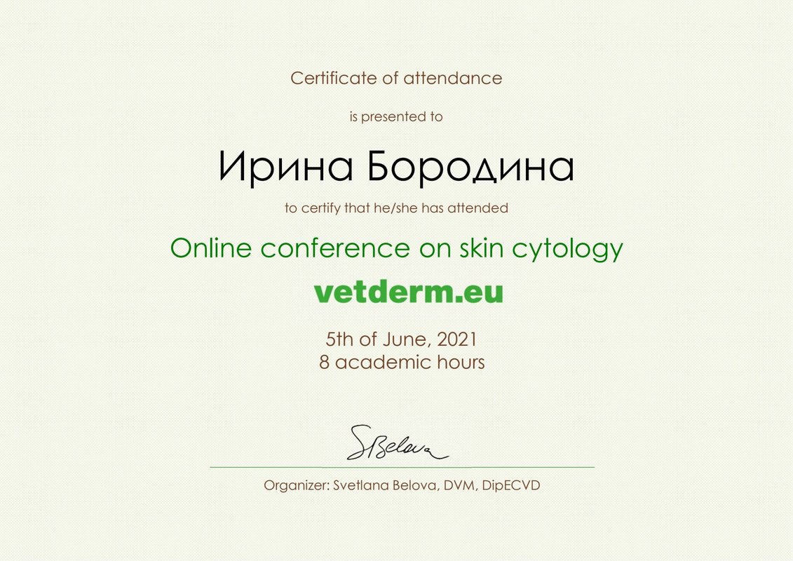 Документ или сертификат
