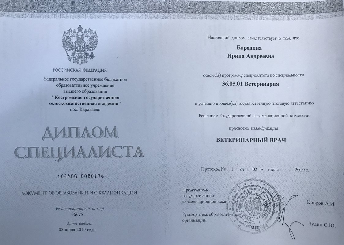 Документ или сертификат