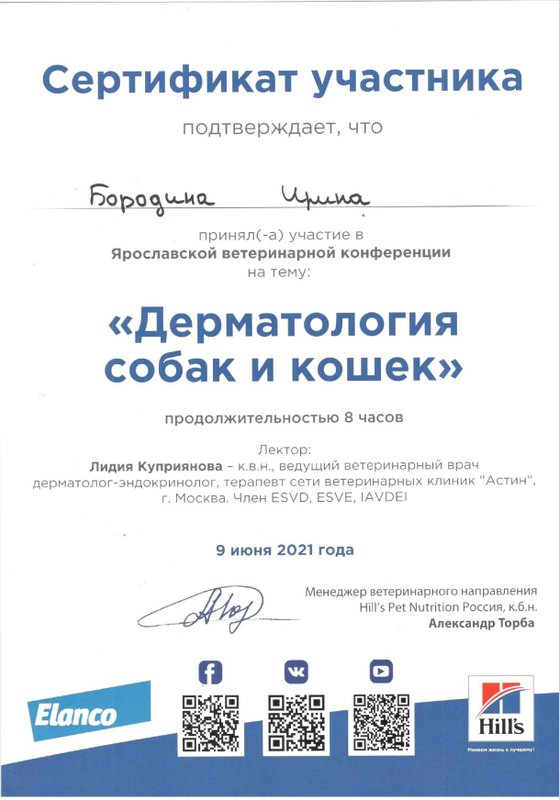 Документ или сертификат