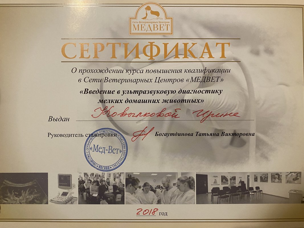 Документ или сертификат
