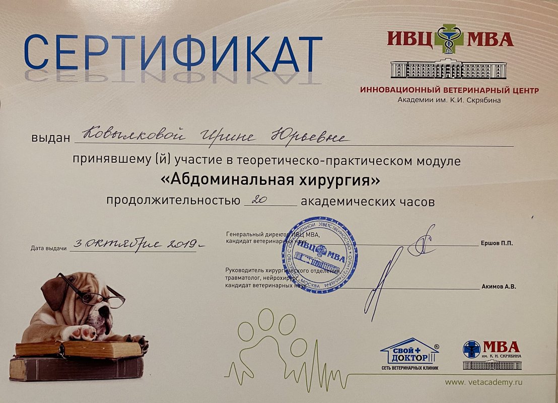 Документ или сертификат