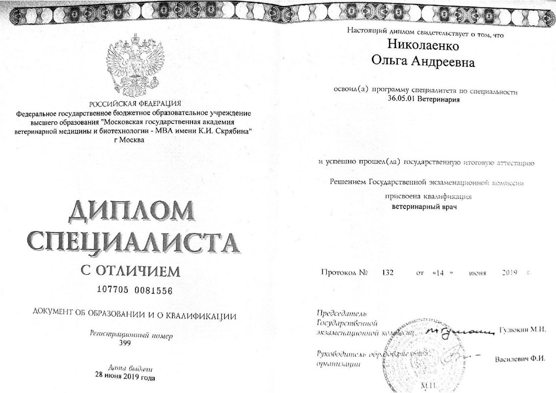 Документ или сертификат