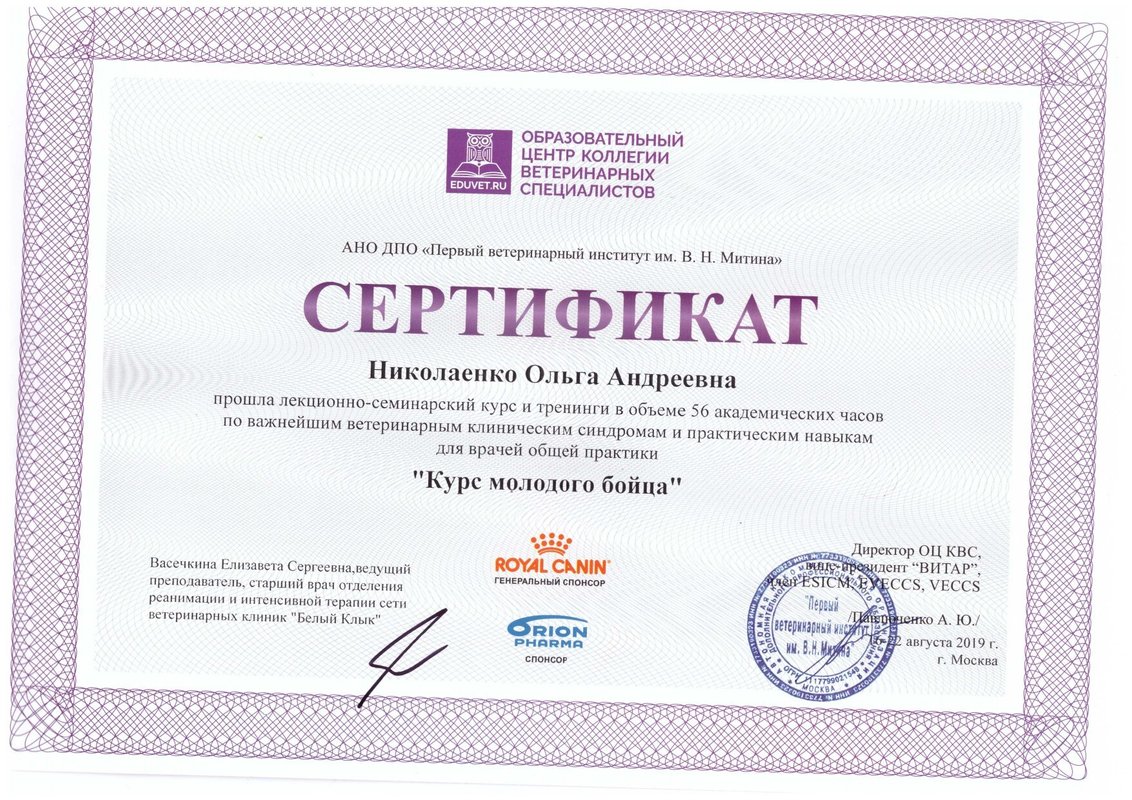 Документ или сертификат