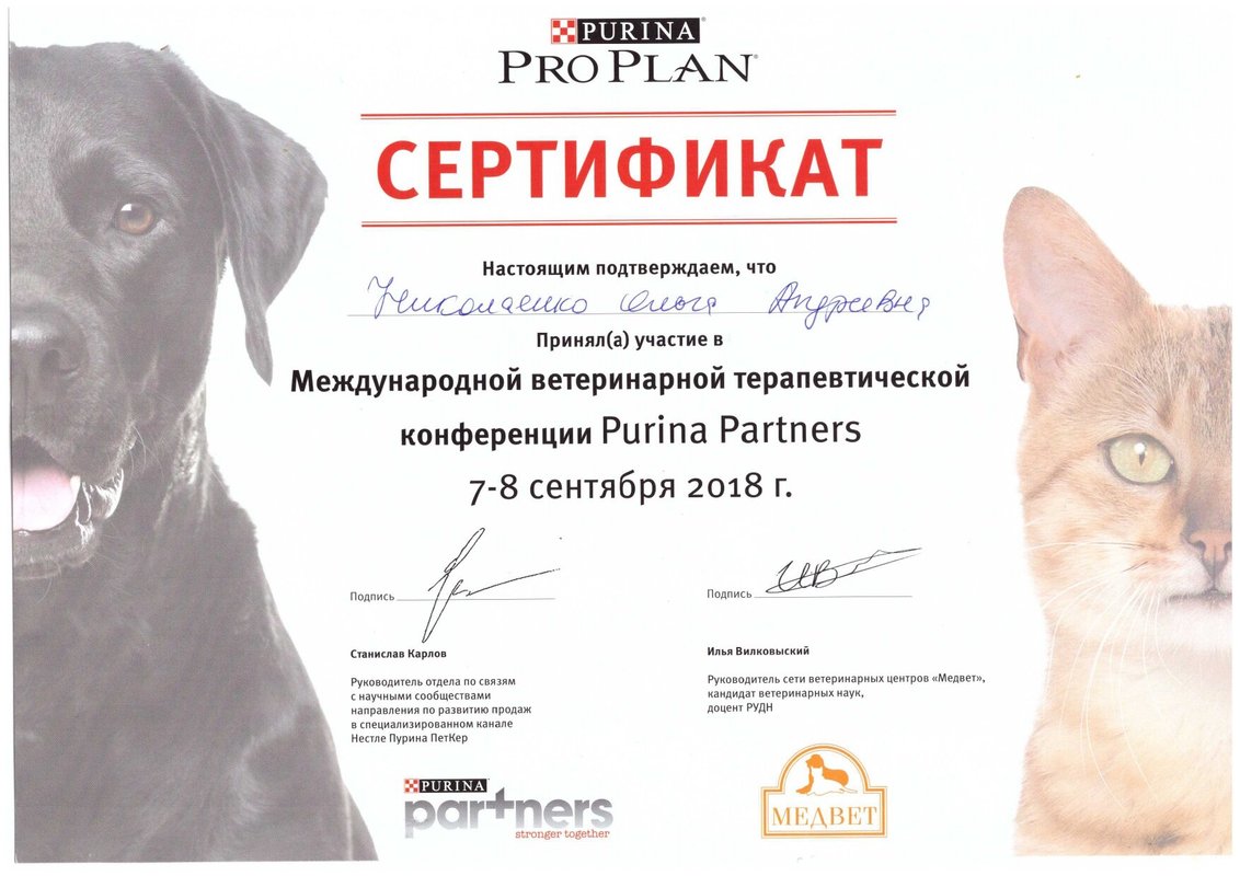 Документ или сертификат