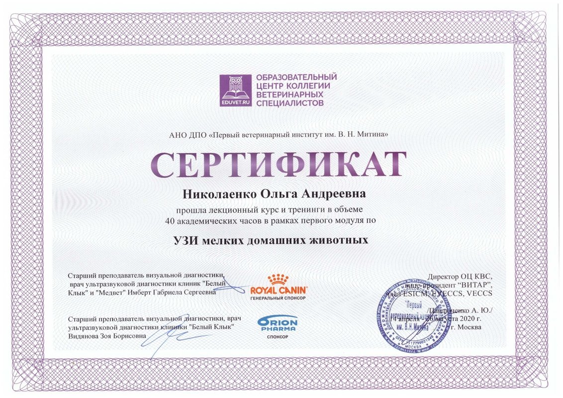 Документ или сертификат