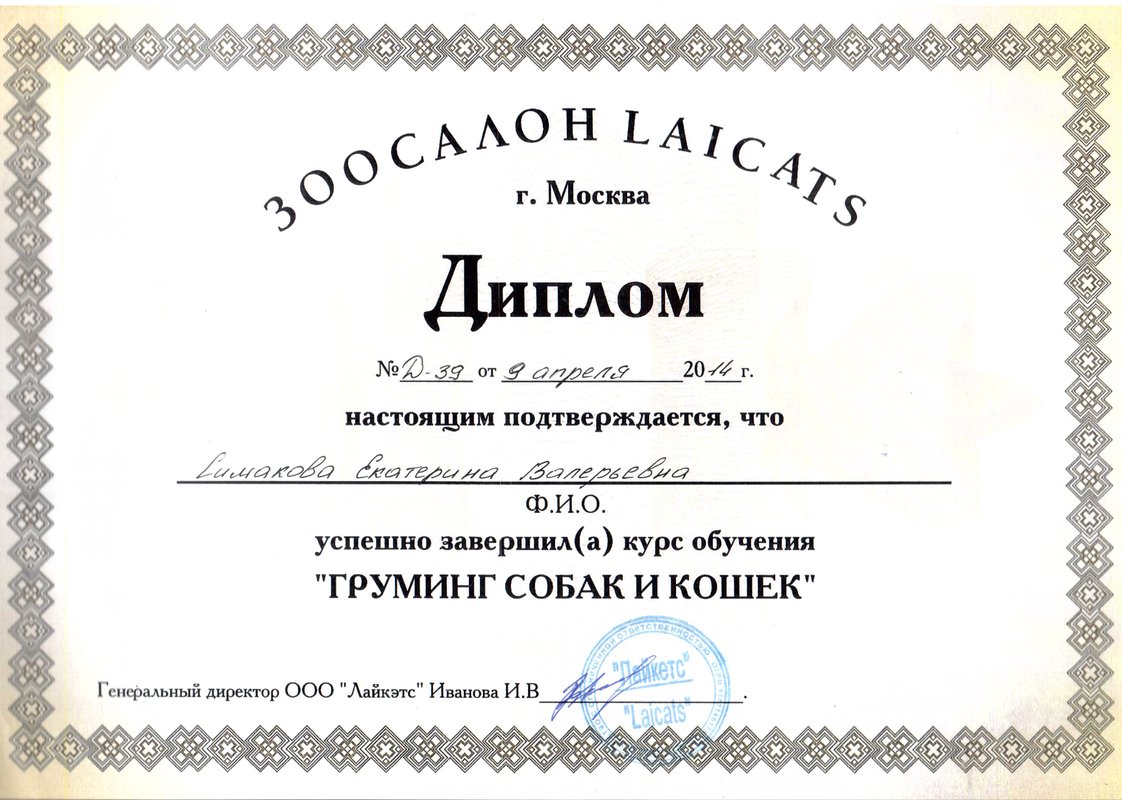 Документ или сертификат