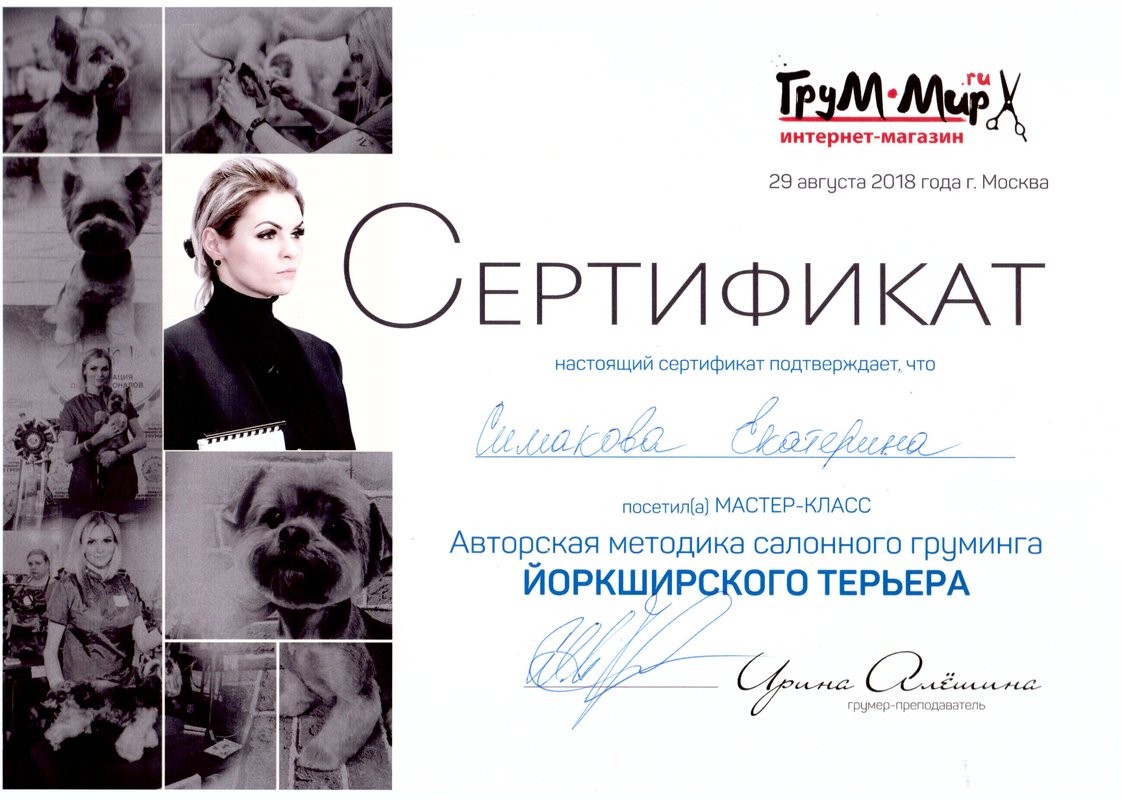 Документ или сертификат
