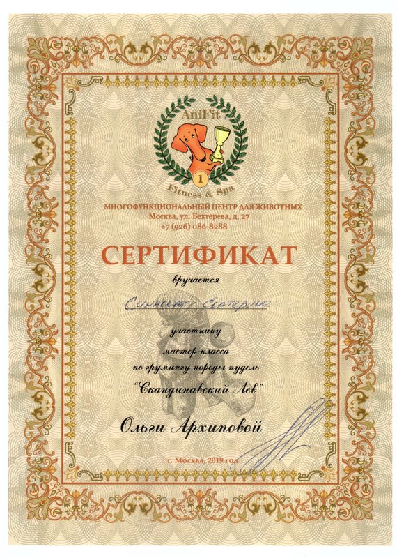 Документ или сертификат
