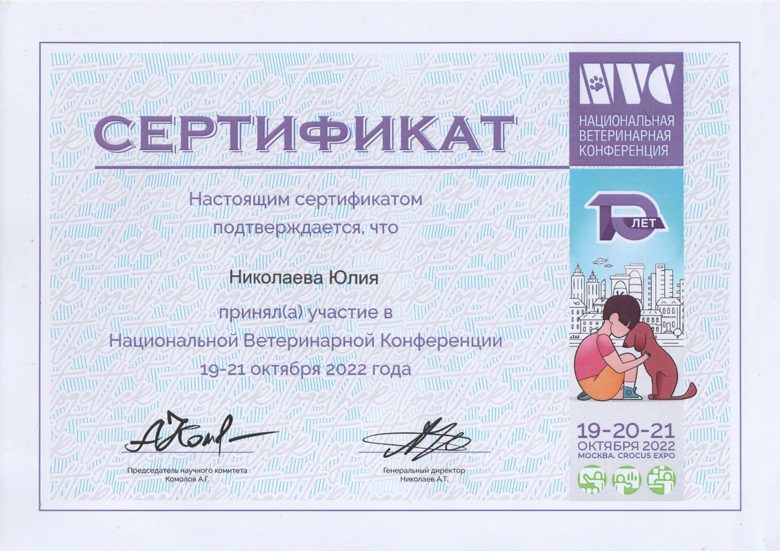Документ или сертификат