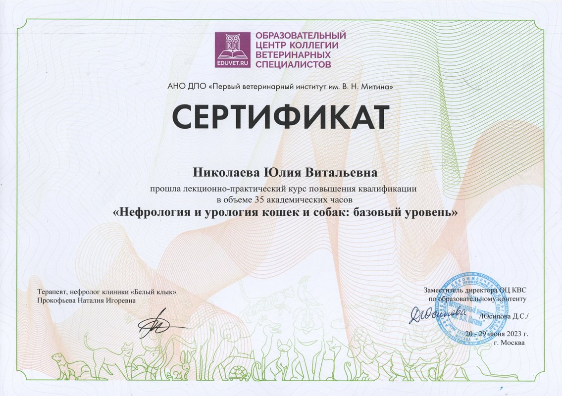 Документ или сертификат