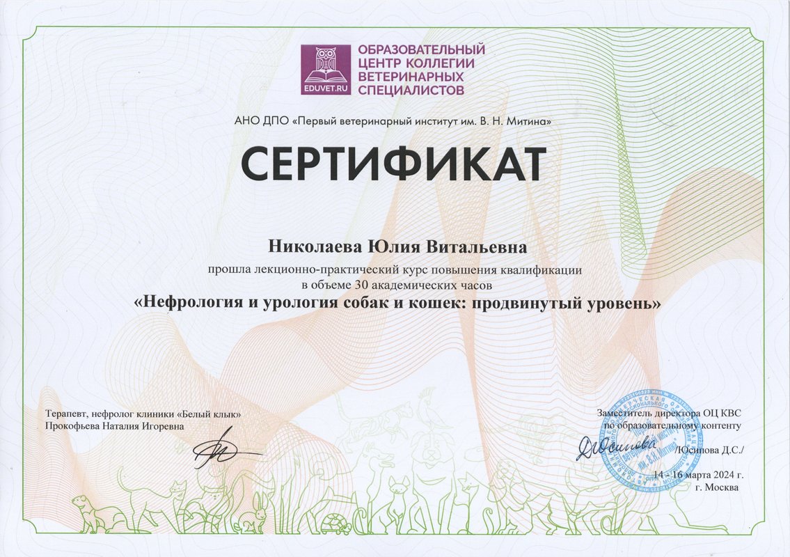 Документ или сертификат