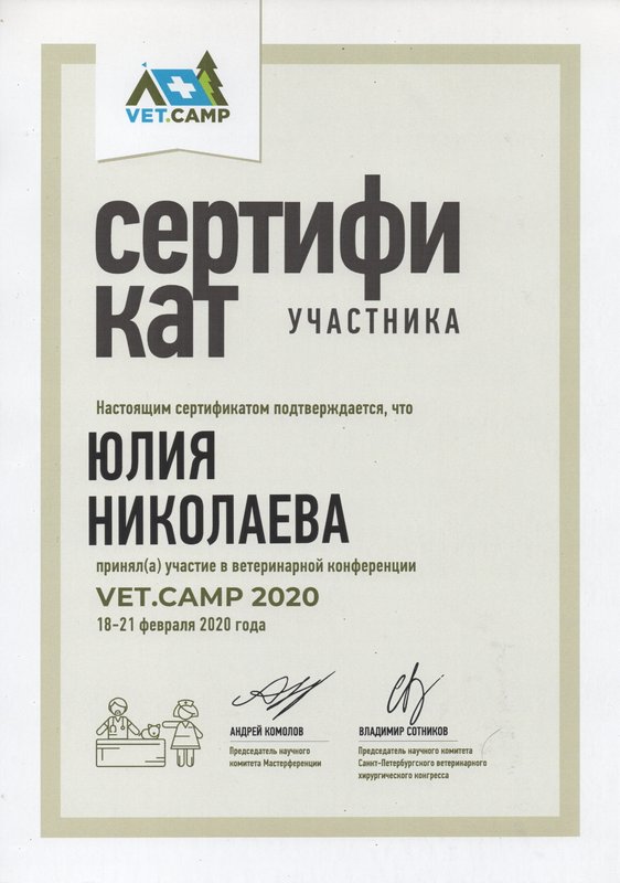 Документ или сертификат
