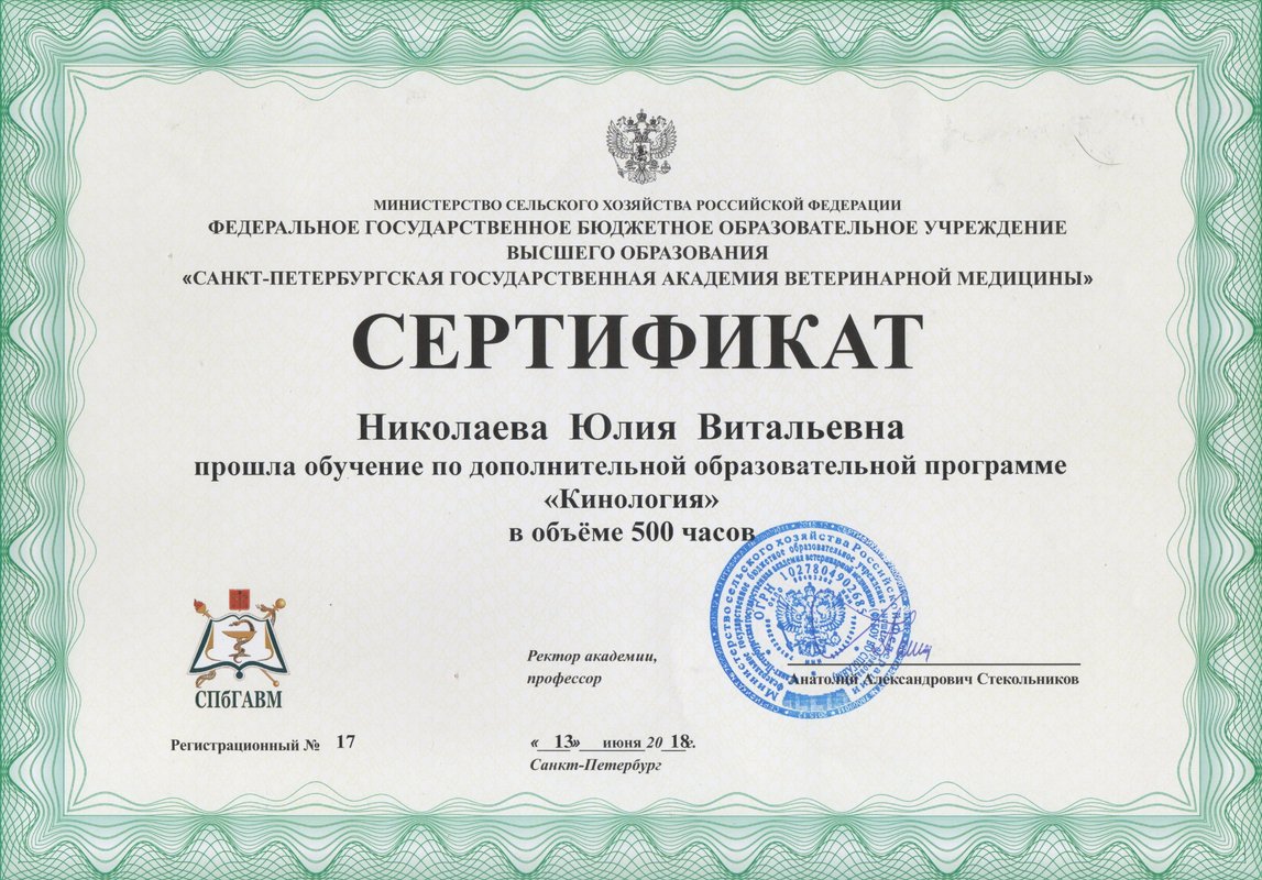Документ или сертификат