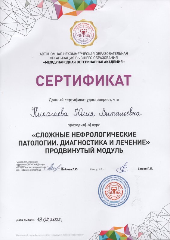 Документ или сертификат