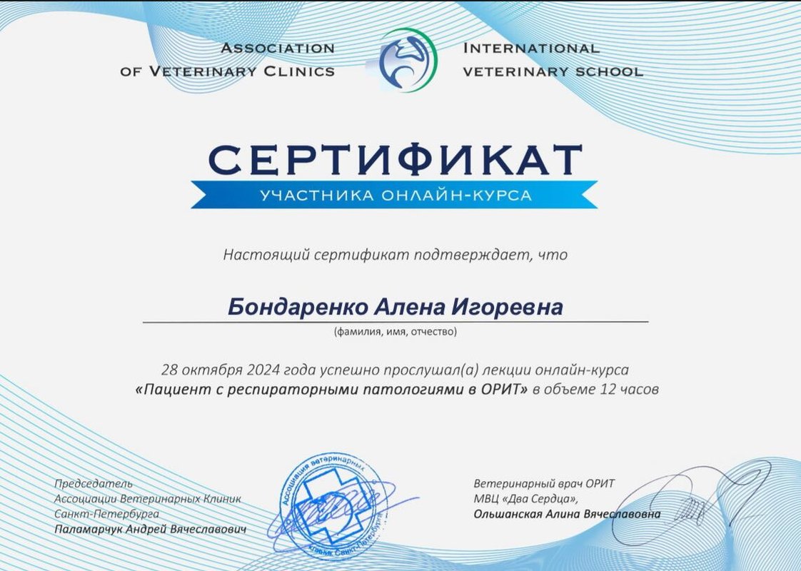 Документ или сертификат