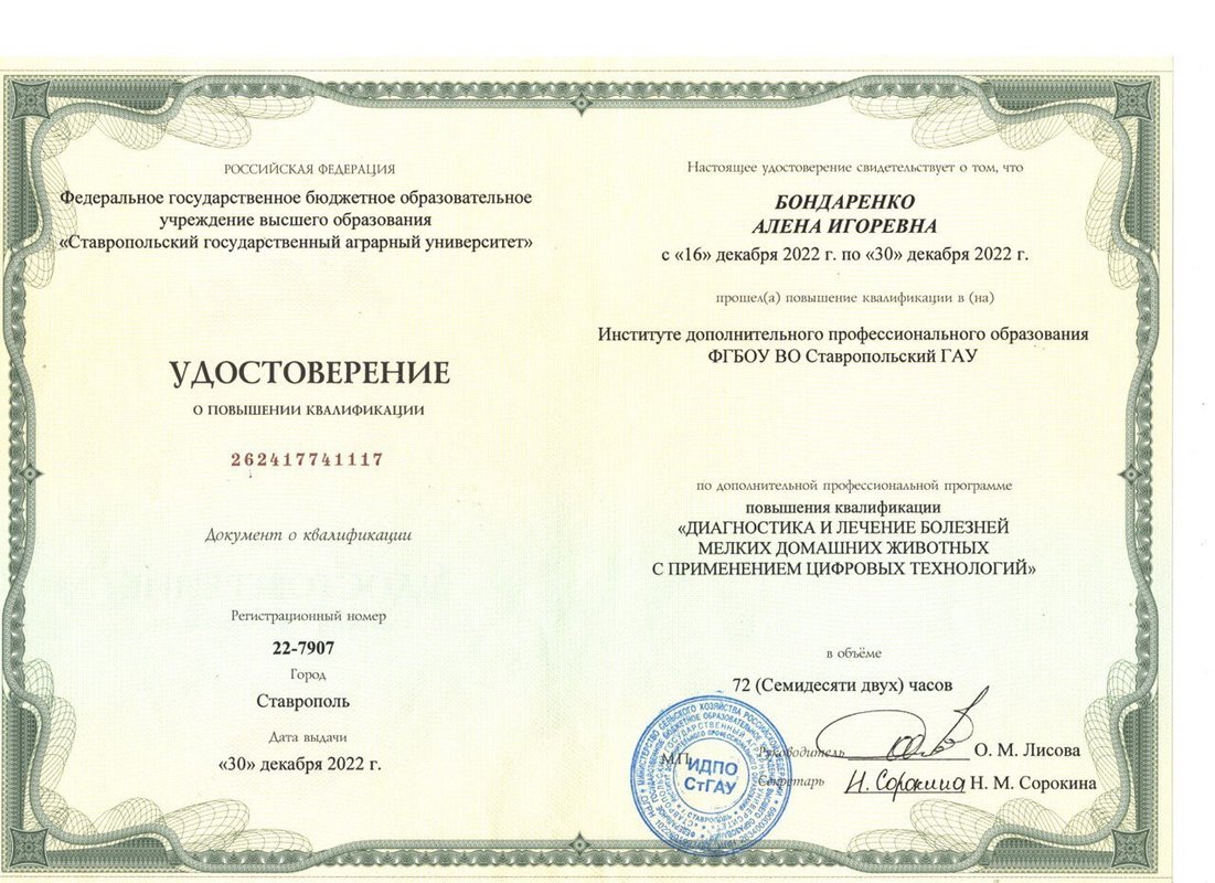 Документ или сертификат