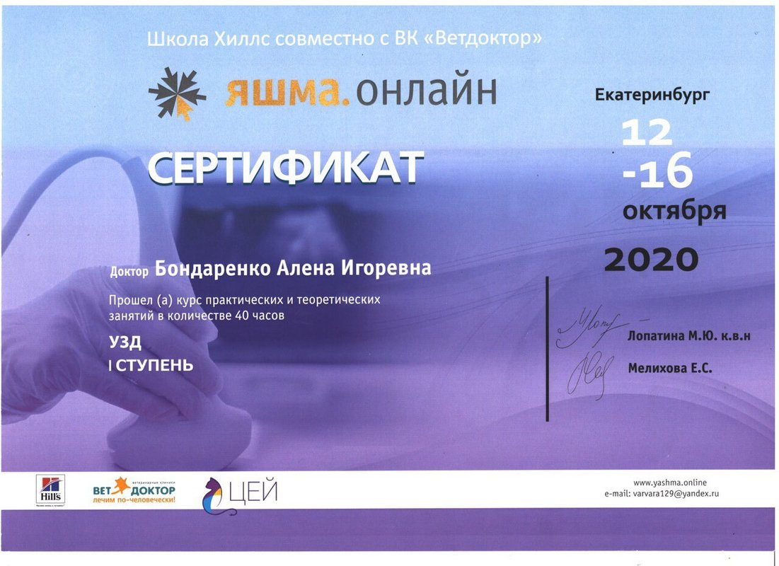 Документ или сертификат