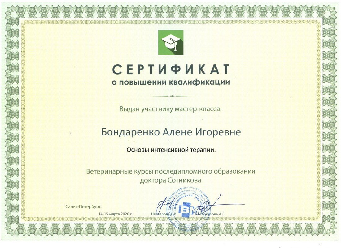 Документ или сертификат