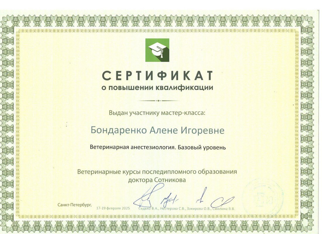Документ или сертификат