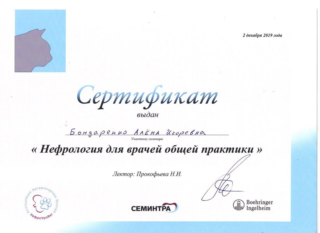 Документ или сертификат