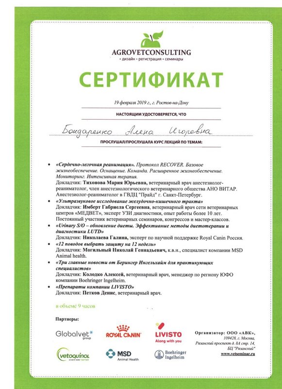 Документ или сертификат
