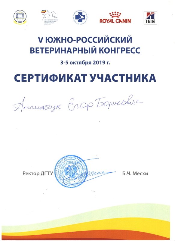 Документ или сертификат