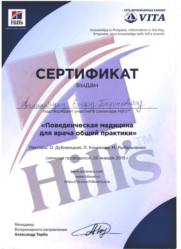 Документ или сертификат