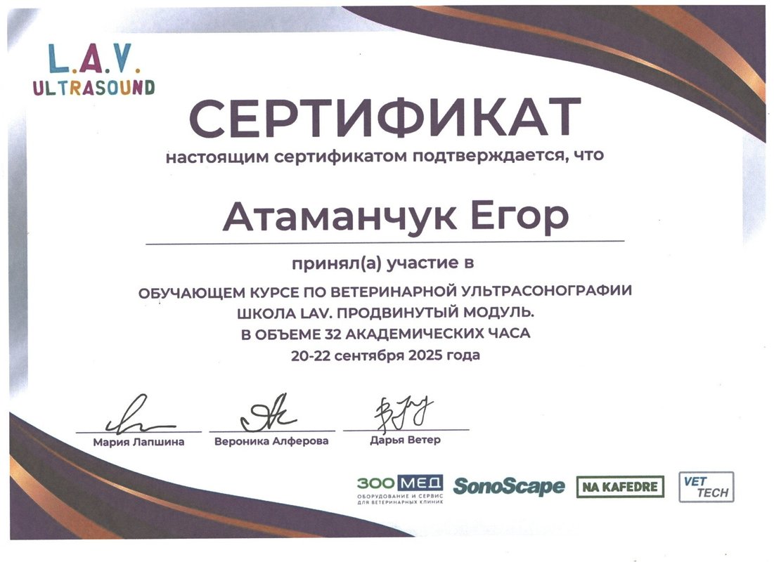 Документ или сертификат