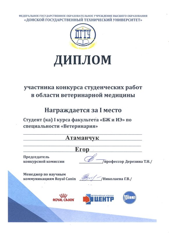 Документ или сертификат