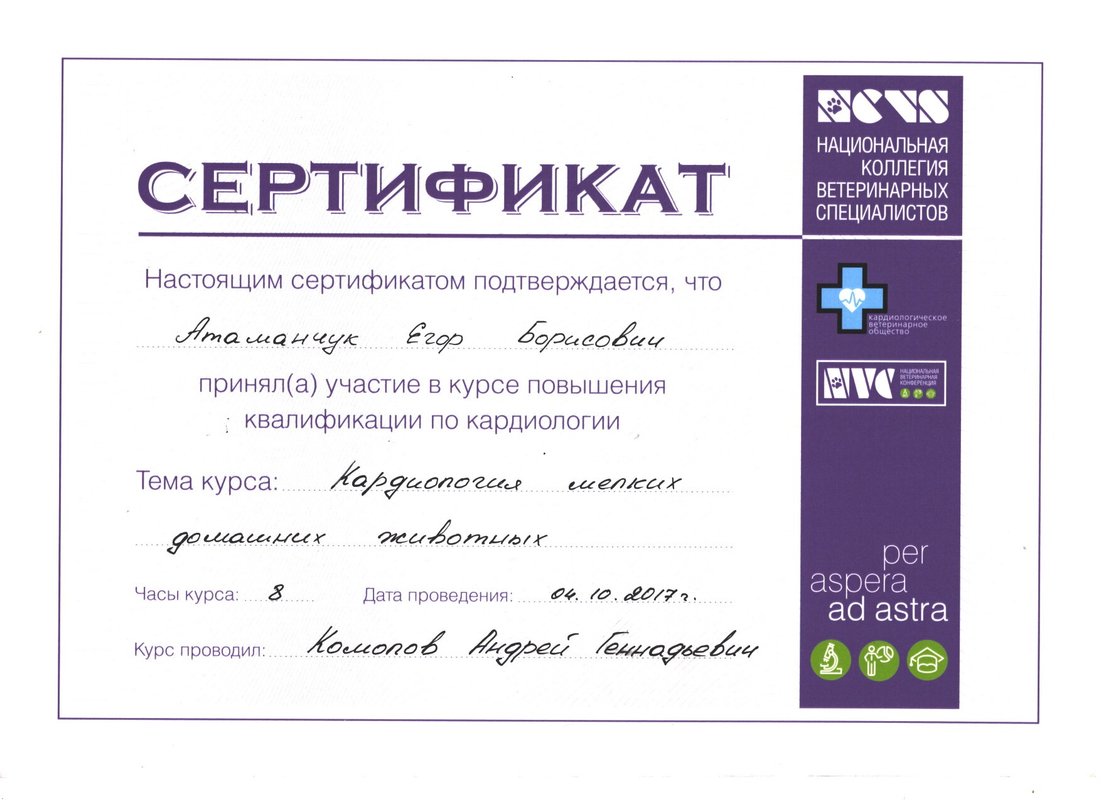 Документ или сертификат