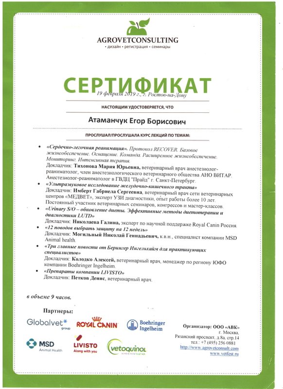Документ или сертификат